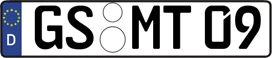 GS-MT09