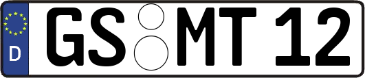 GS-MT12