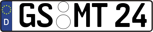 GS-MT24