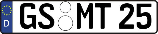 GS-MT25