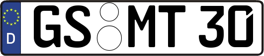 GS-MT30