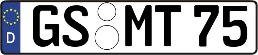 GS-MT75