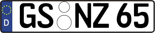 GS-NZ65
