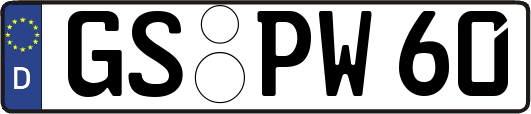 GS-PW60