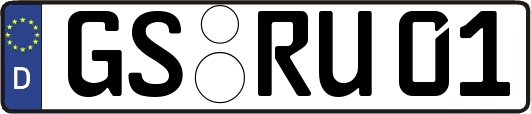 GS-RU01