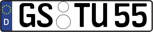 GS-TU55