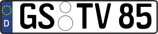 GS-TV85