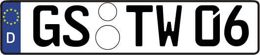 GS-TW06