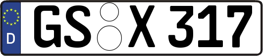GS-X317