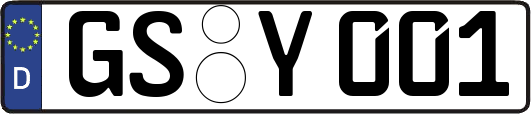 GS-Y001