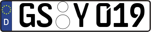 GS-Y019