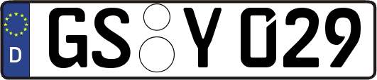 GS-Y029