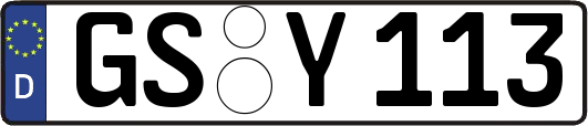 GS-Y113
