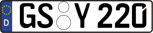 GS-Y220