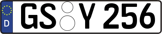GS-Y256