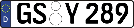 GS-Y289