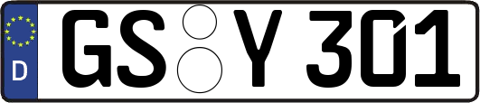 GS-Y301