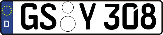 GS-Y308