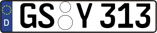 GS-Y313