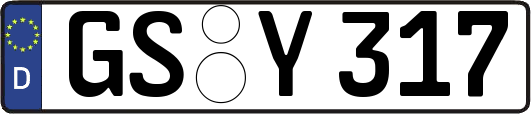 GS-Y317