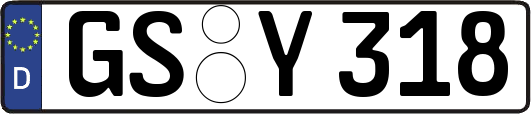 GS-Y318
