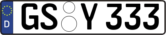 GS-Y333