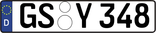 GS-Y348
