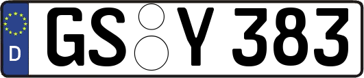 GS-Y383