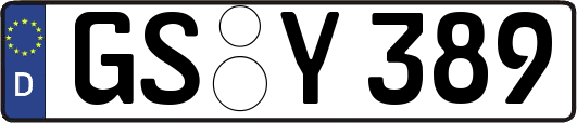GS-Y389
