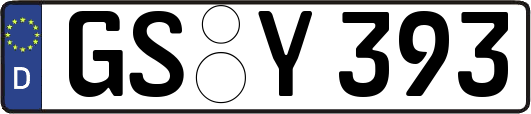 GS-Y393