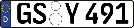 GS-Y491