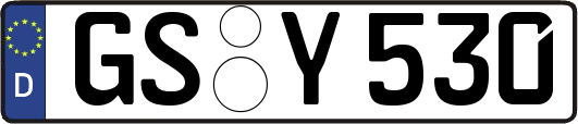 GS-Y530