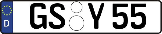 GS-Y55