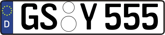 GS-Y555
