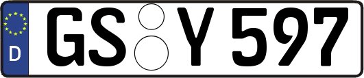 GS-Y597