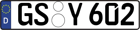 GS-Y602