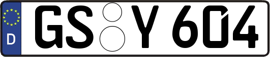GS-Y604