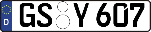 GS-Y607
