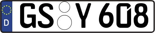 GS-Y608