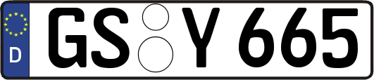 GS-Y665