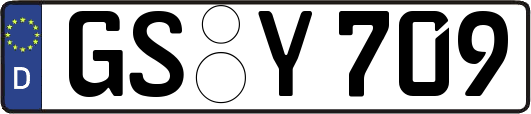 GS-Y709