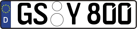 GS-Y800