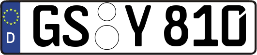 GS-Y810