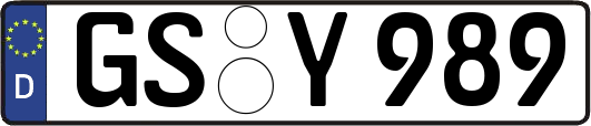 GS-Y989