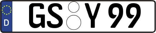GS-Y99
