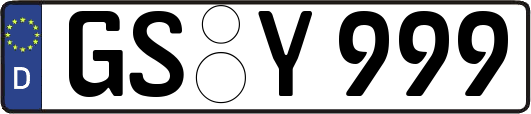 GS-Y999
