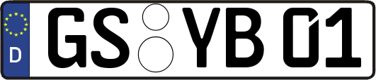 GS-YB01