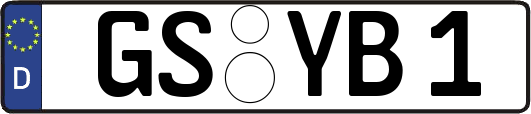 GS-YB1