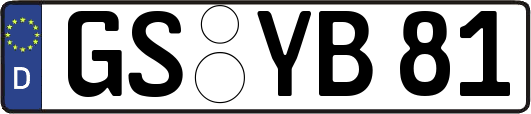 GS-YB81