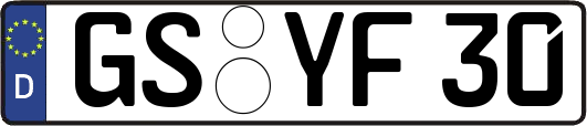 GS-YF30